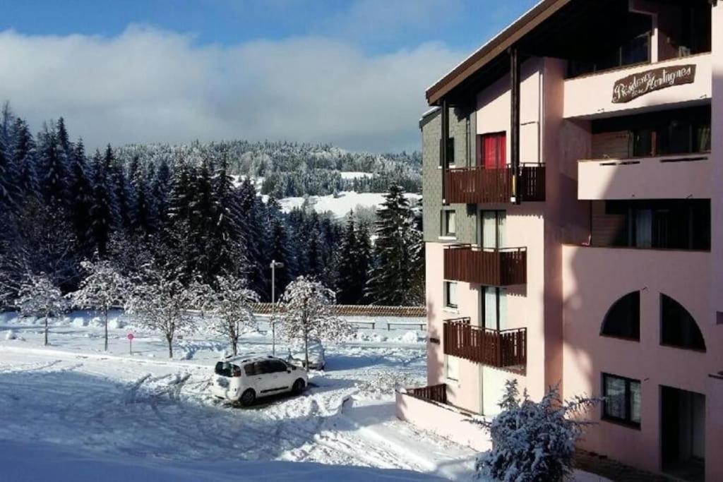 Appartement Montagne La Vallee Verte Coeur Station Hirmentaz Bellevaux Екстер'єр фото
